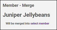 Select Merge Member.JPG