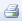 print icon